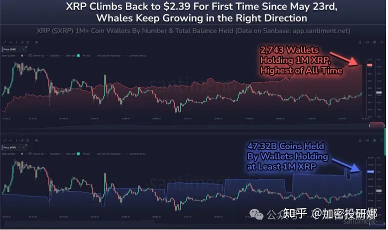 九游体育app-ARB冲破XRP美元大关，牛市是否已来临？的简单介绍